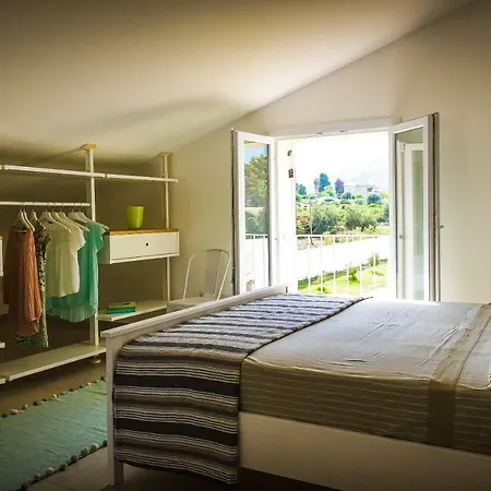 La Bouganville * 아볼라